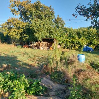 Terreno agricolo