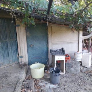 Terreno agricolo