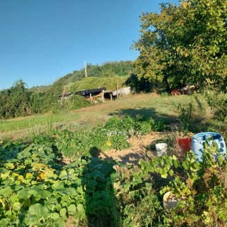 Terreno agricolo