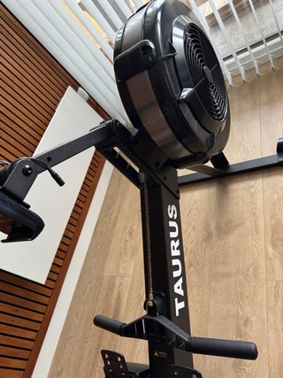 Máquina remo profesional Taurus.