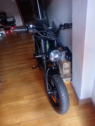 Bicicleta Eléctrica Fat Bike