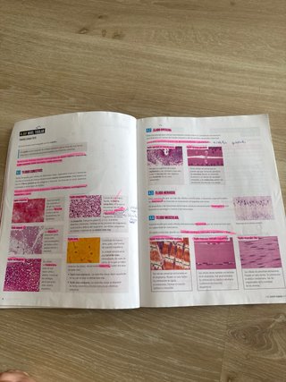 Libro de texto