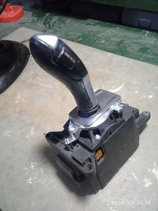 Selector de Cambio BMW X5 E70 2009-2012 Diesel