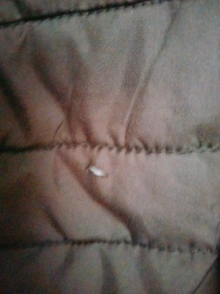 Anorak MONTE CERVINO joven chica Talla M.