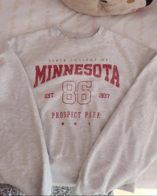 Sudadera Minnesota 86 Prospect Park