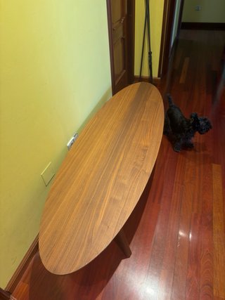 Mesa de centro ovalada de madera