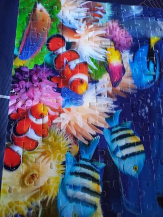 Puzzle 3D Efecto Visual Coral Delfines