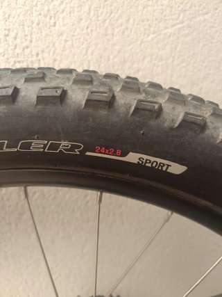 Bicicleta Infantil Specialized 24
