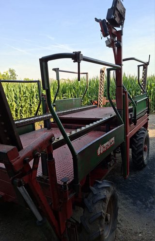Plataforma recolectora fruta carro