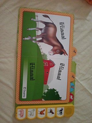 Libro sonoro