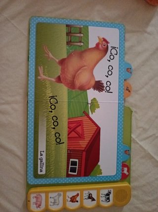 Libro sonoro
