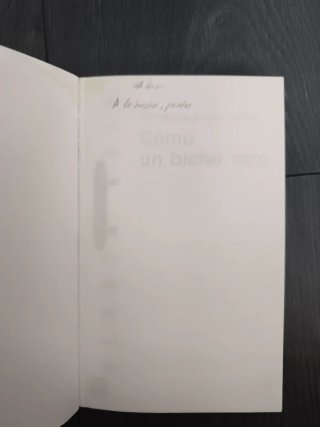 Como un bicho raro (Gran Angular) (Spanish Edit...