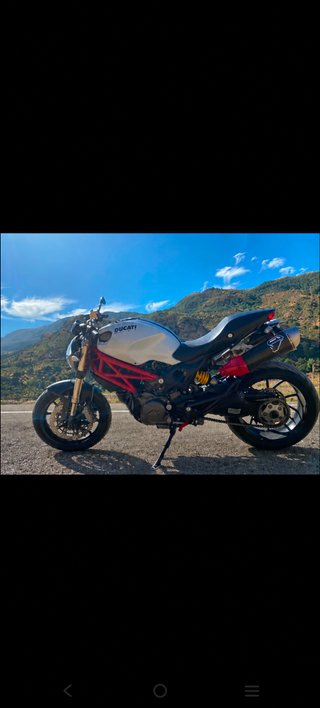 Ducati Monster - Moto Naked
