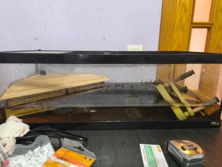 Terrario / Acuario Negro Transparente