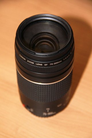 Canon EF 75-300mm f/4-5.6 III
