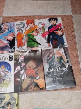 Mangas en castellano en perfecto estado