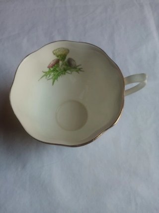 Taza y Platillo Royal Albert Cardo