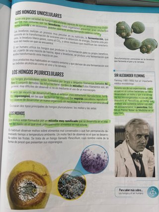 Lote 3 libros 1° ESO Edebé