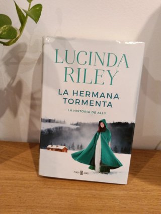 La hermana tormenta : la historia de Ally