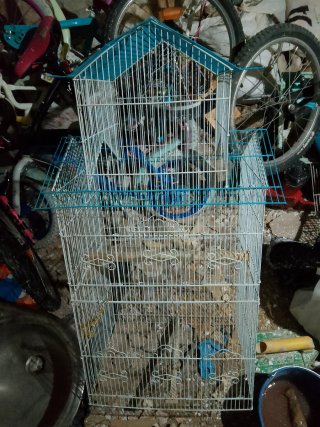 Jaula para pájaros azul y blanca