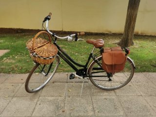Bicicleta Paseo Canellini Cesta Mimbre