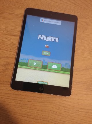 iPad mini 1ª Gen - Flappy Bird