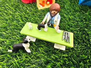 Playmobil Maletín Veterinario City Life 5653