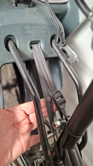Portabebés Bicicleta Polisport Guppy Maxi