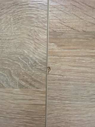 Comedor completo IKEA: Mesa comedor y 6 sillas