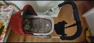 Carro Uppababy Cruz