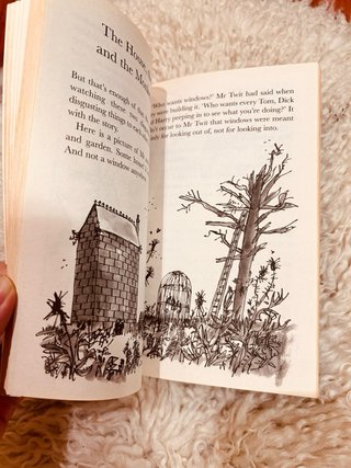 Libros inglés niños | The Twits | Roald Dahl