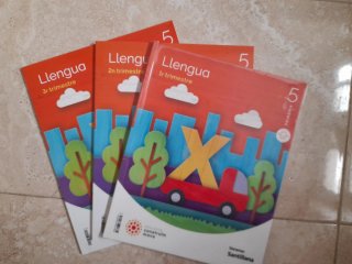 Lote libros 5° primaria.  Ed. Santillana