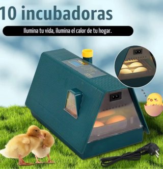 Incubadora Automática Huevos Verde/Amarillo