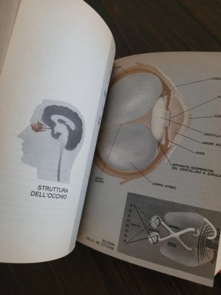 libro vintage - le meraviglie del nostro corpo