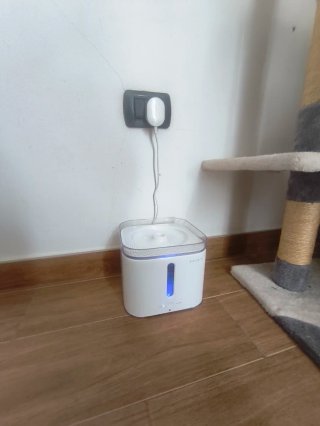 Fuente de agua para gatos