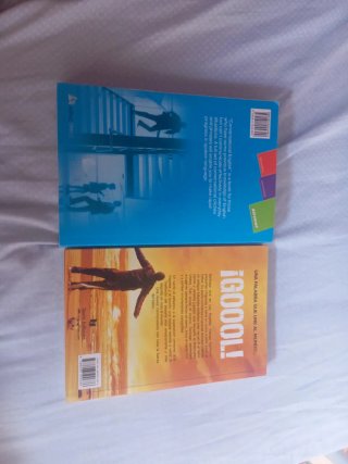 Lote de libros
