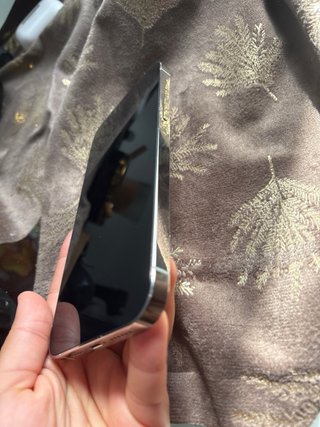 iPhone 13 Pro Max Blanco