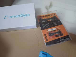 SmartGyro Hoverboard HAMMER M2