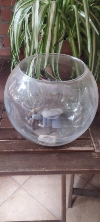 Acuario y pecera redonda
