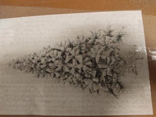 Árbol de Navidad GERIMPORT 300cm
