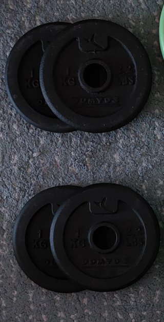 Discos de pesa de 1 kg (x4).