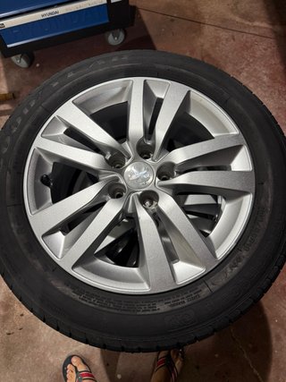Llantas Peugeot 205/55/16