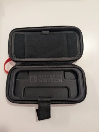 Pacchetto Nintendo Switch Lite + caricatore + 2 custodie