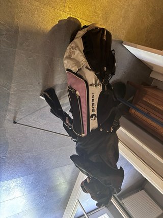 Bolsa y palos de golf chica