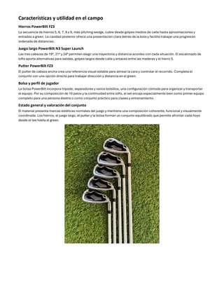 Set de Palos de Golf POWERBILT FZ3