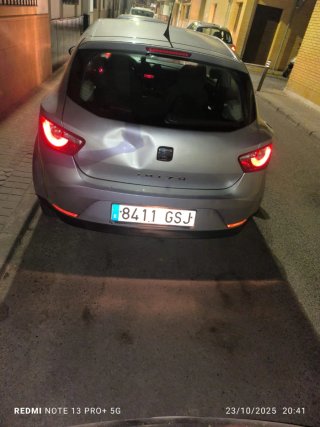 SEAT Ibiza 2010