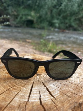Gafas de sol Ray-Ban Wayfarer