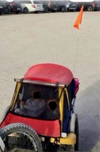 Carro para bicicleta