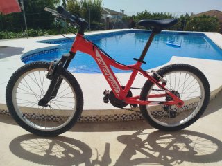 Bicicleta de montaña Juvenil Eleven
