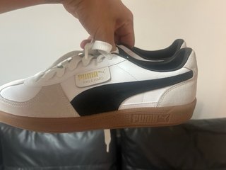 Lote de bambas puma,nike converse
